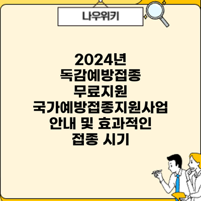2024년 독감예방접종 무료지원: 국가예방접종지원사업 안내 및 효과적인 접종 시기