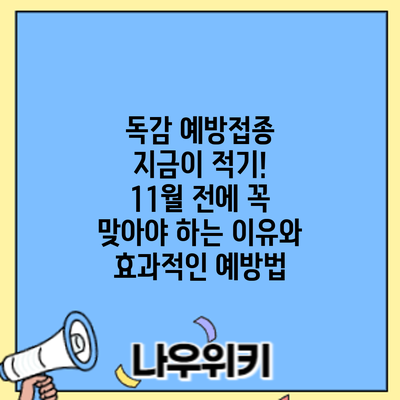 독감 예방접종 지금이 적기! 11월 전에 꼭 맞아야 하는 이유와 효과적인 예방법