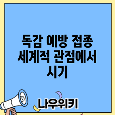 독감 예방 접종: 세계적 관점에서 시기