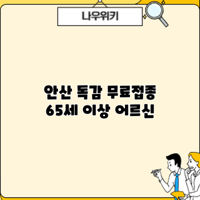 안산 독감 무료접종: 65세 이상 어르신