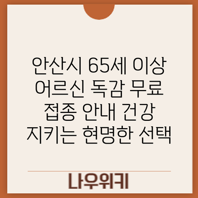 안산시 65세 이상 어르신 독감 무료 접종 안내: 건강 지키는 현명한 선택