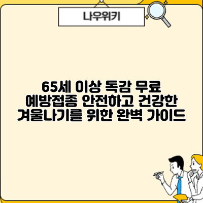 65세 이상 독감 무료 예방접종: 안전하고 건강한 겨울나기를 위한 완벽 가이드