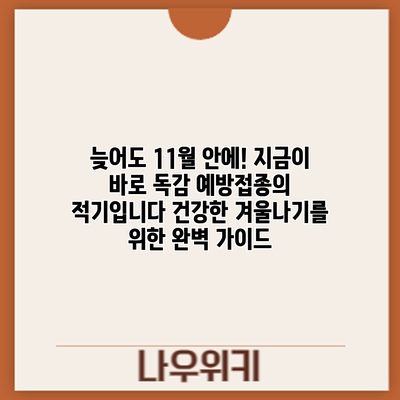 늦어도 11월 안에! 지금이 바로 독감 예방접종의 적기입니다: 건강한 겨울나기를 위한 완벽 가이드