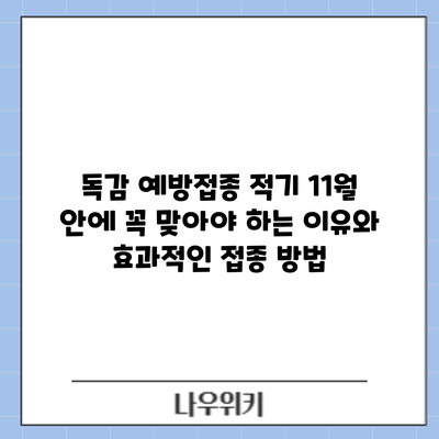 독감 예방접종 적기: 11월 안에 꼭 맞아야 하는 이유와 효과적인 접종 방법