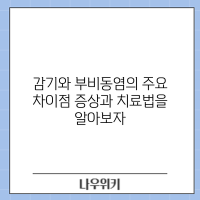 감기와 부비동염의 주요 차이점: 증상과 치료법을 알아보자
