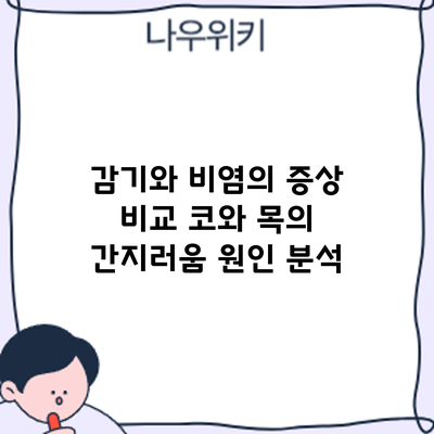 감기와 비염의 증상 비교: 코와 목의 간지러움 원인 분석