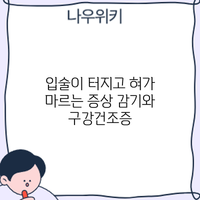 입술이 터지고 혀가 마르는 증상? 감기와 구강건조증