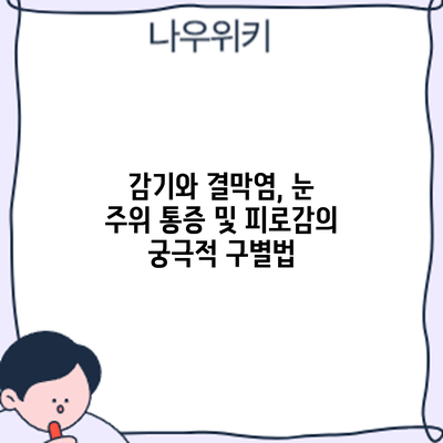 감기와 결막염, 눈 주위 통증 및 피로감의 궁극적 구별법